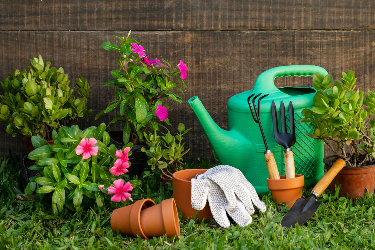 Four Tips for Proper Gardening at Your Apartment