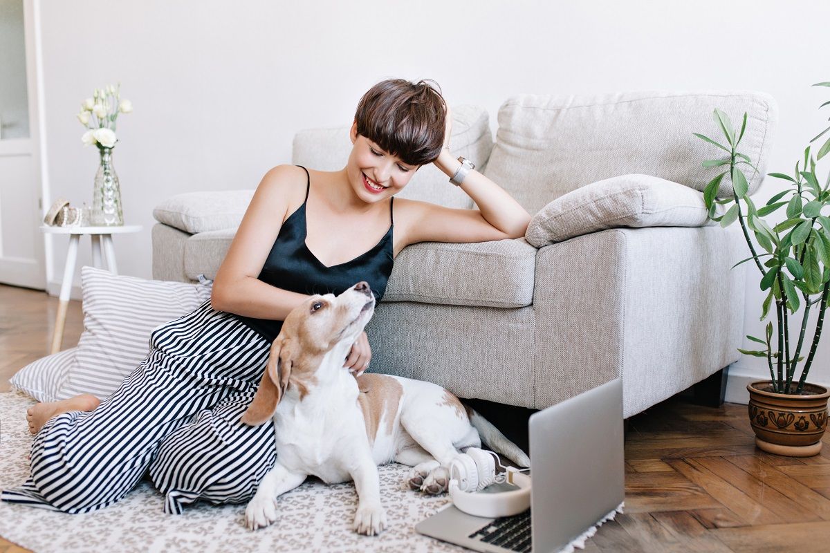 Five Tips on How to Live with Your Dog in Your Apartment