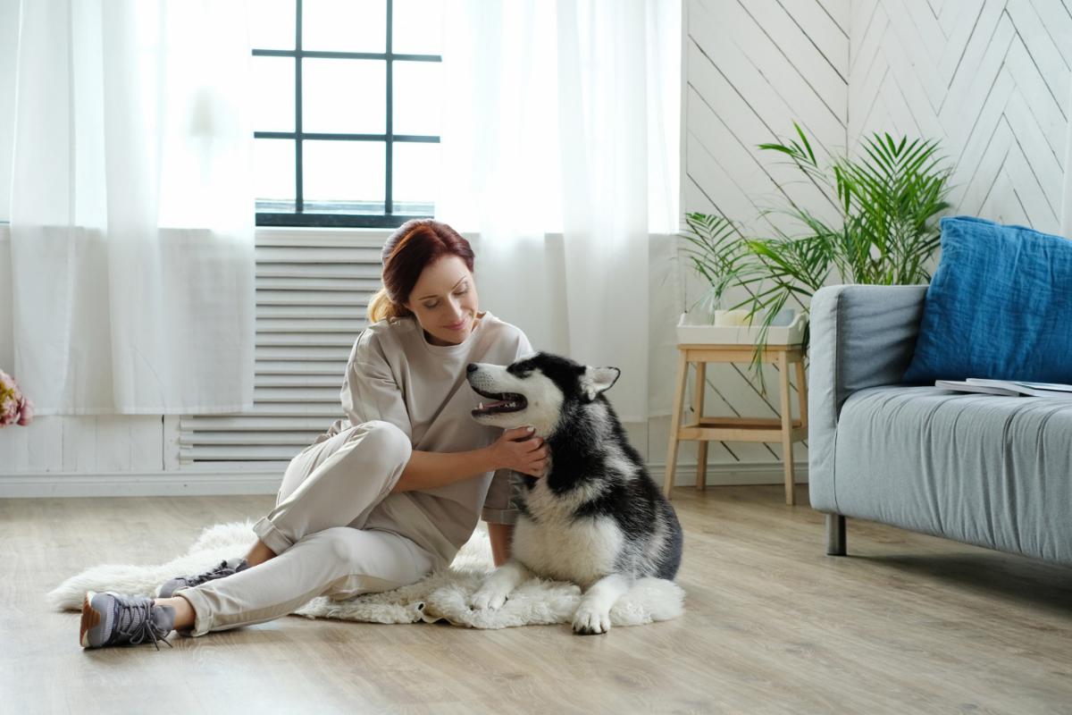 How Can I Keep My Apartment Clean When I Live With My Dog?