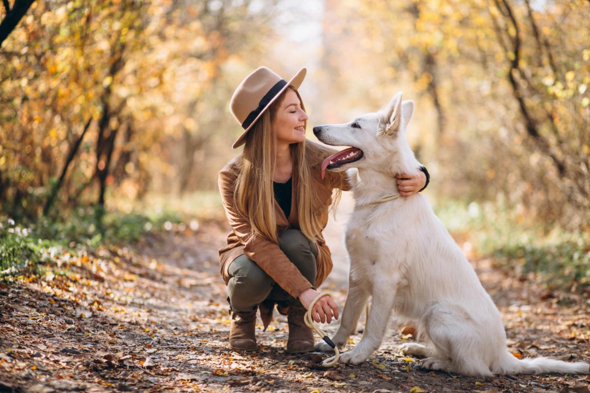 Take Your Dog on a Date