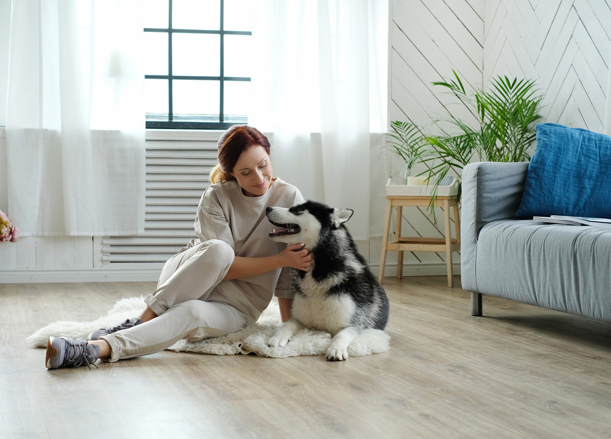 Tips on Keeping Your Apartment Clean with a Pet