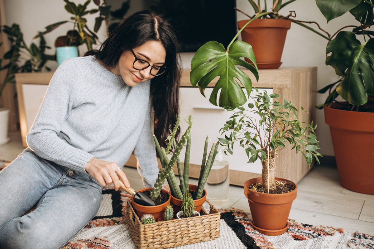 Small Space Gardening Tips for Your Apartment